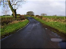 H4373 : Road at Mullaghmenagh, Omagh by Kenneth  Allen