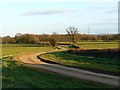 Lane east of Ryefield Cottages, near Goose Green