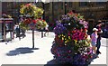 Floral Displays in Bridge Street, Salisbury