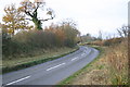 Lane heading up Leap Hill