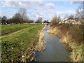 Barmston Drain... complete with rubbish