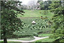 SW7727 : The maze at Glendurgan Garden Mawnan Smith by Rod Allday