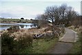 Footpath at Fernworthy