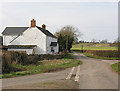 Country road at Gadfield Elm