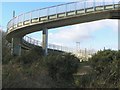 Sinuous bridge