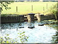 Former Lido steps