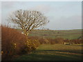 Evening sun on fields at Penhale