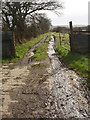 Track to Greena Moor Nature Reserve