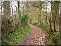 Cumbers Lane, near Borden