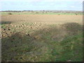 Farmland to the north of Borley