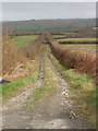 SX1693 : Track from Collamoor Head down to Pencuke by David Hawgood