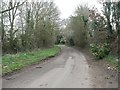 West Wellow: Scallows Lane