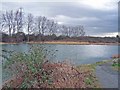 Fishing pond in Church Marshes Country Park