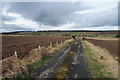 Farm Track to Haugh of Aberuthven