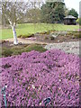 RHS Wisley, Heather Garden