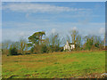 Talwaenydd from the A4244