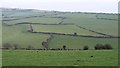 Fields near Carpuan