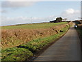 Road near Moor View