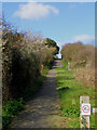 The old Grand Avenue, Seaford.