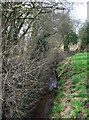 Tributary of River Weaver at field boundary