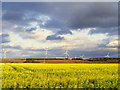 Windfarm  at  Rettie Farm