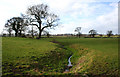 Brook near Bulkelehay