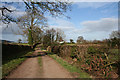 Cholmondeley Estate track south of Bulkelehay