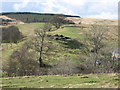 NY7784 : Dally Castle from Snabdaugh Moor by Pete Saunders