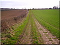 Longstock - Track