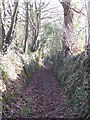 Ancient trackway leading from Bareppa to Maenporth