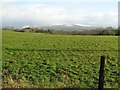 Ballygowan Townland