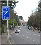 J3371 : Bus Lane, Malone Road Belfast by Rossographer