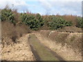 Track to  Stob Hill