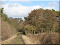 The track to Stob Hill