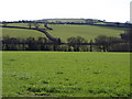 Valley near Treburtle