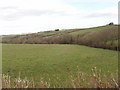 Fields near Thinwood Farm