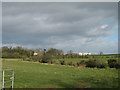 Farm and Fields from Gransha Road