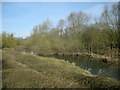 SP3875 : Ryton On Dunsmore-River Avon by Ian Rob