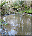 Stream and footbridge near Venus Bank