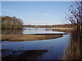 Fleet Pond from Sandy Bay