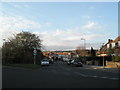 Shops at southern end of Tregaron Avenue