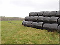 Bales in black plastic at Pencuke