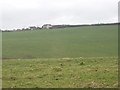 SX1693 : Fields by Wilslea Farm by David Hawgood