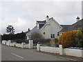 Houses in Marshgate with monkey-puzzle tree