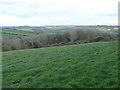 Pastures and a wooded valley