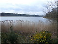 Thoresby Lake - View from Weir