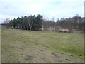 Thoresby Estate - Archery Training near Weir