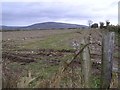 Glebe Townland