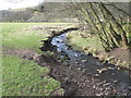 Oakeydene Burn