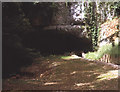 ST5347 : Entrance to Wookey Hole Cave by Trevor Rickard